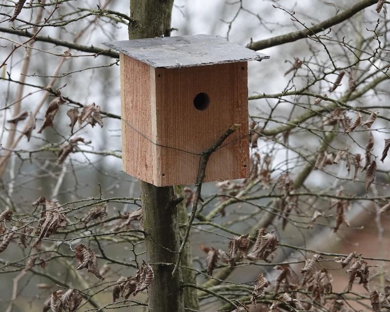 Accueil de la faune